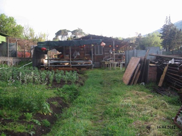 terreno agricolo in vendita a Tivoli