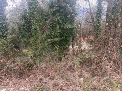 terreno edificabile in vendita a Tivoli