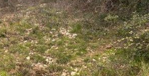 terreno edificabile in vendita a Tivoli