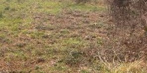 terreno edificabile in vendita a Tivoli