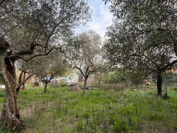 terreno agricolo in vendita a Tivoli in zona Villa Adriana
