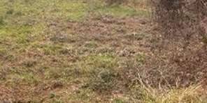 appartamento in vendita a Tivoli