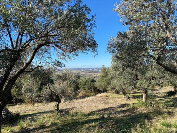 terreno agricolo in vendita a Tivoli in zona Favale