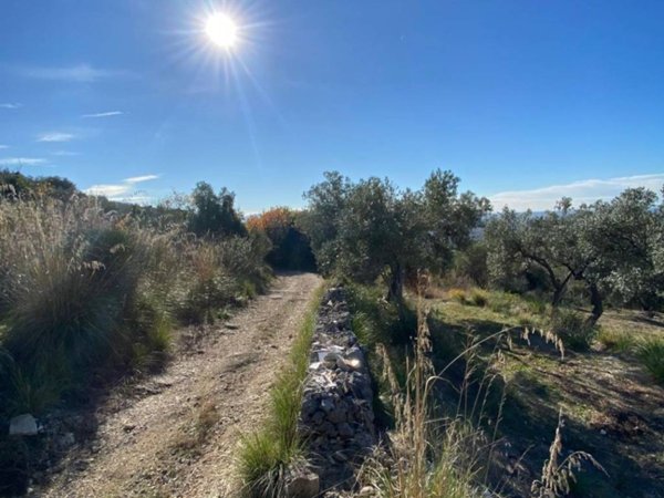 terreno agricolo in vendita a Tivoli in zona Favale