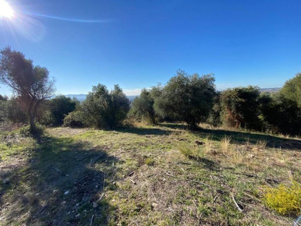 terreno agricolo in vendita a Tivoli in zona Favale