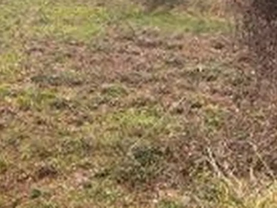 terreno edificabile in vendita a Tivoli