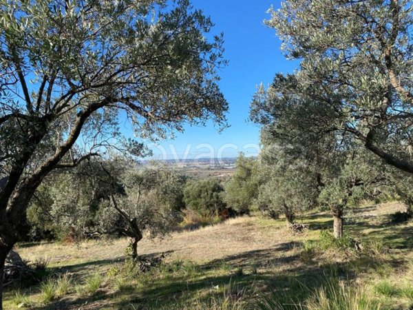 terreno agricolo in vendita a Tivoli