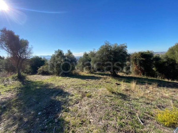 terreno agricolo in vendita a Tivoli
