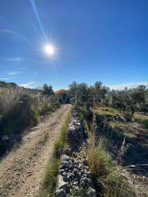 terreno agricolo in vendita a Tivoli