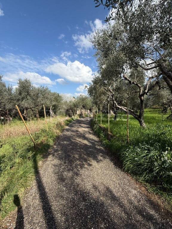 terreno agricolo in vendita a Tivoli