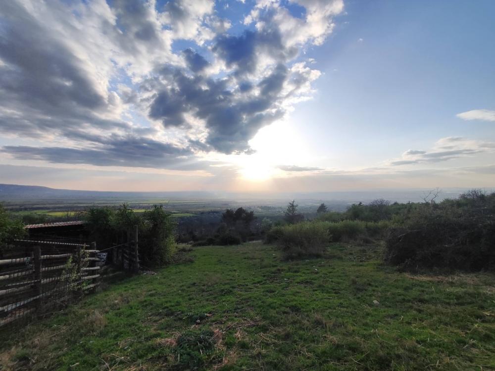 immagine annuncio 0 di 5