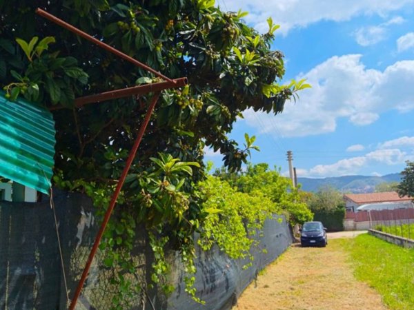 terreno agricolo in vendita a Tivoli in zona Favale