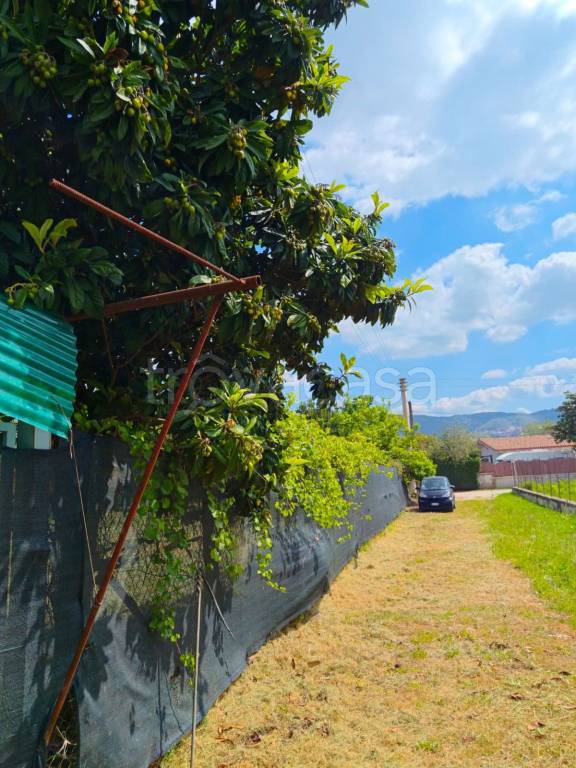 terreno agricolo in vendita a Tivoli