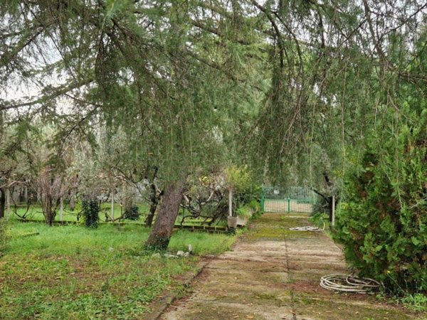 terreno agricolo in vendita a Tivoli in zona Villaggio Adriano