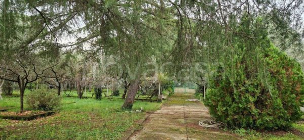 terreno agricolo in vendita a Tivoli