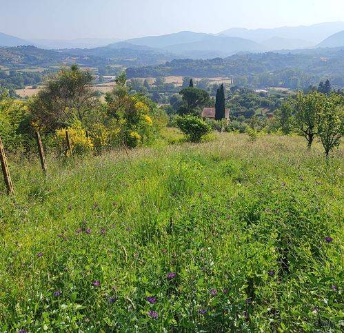 terreno agricolo in vendita a Tivoli