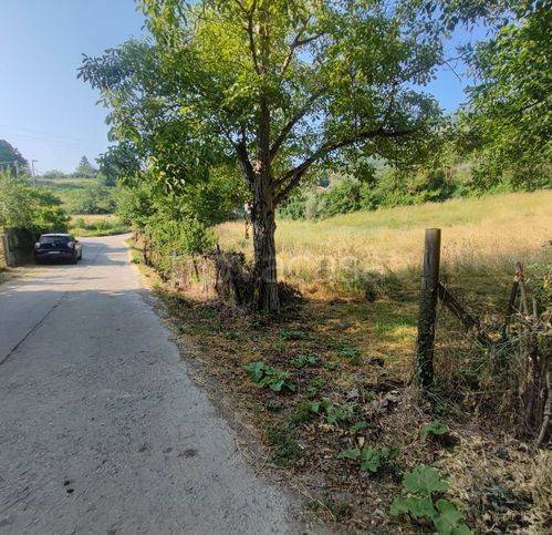 terreno agricolo in vendita a Tivoli