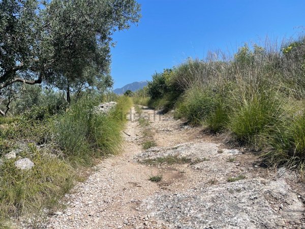 terreno agricolo in vendita a Tivoli