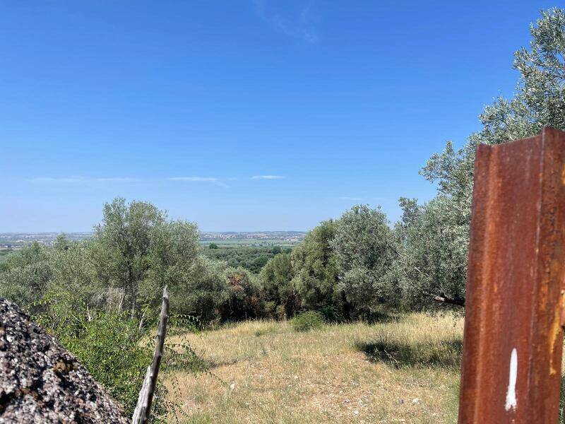 terreno agricolo in vendita a Tivoli