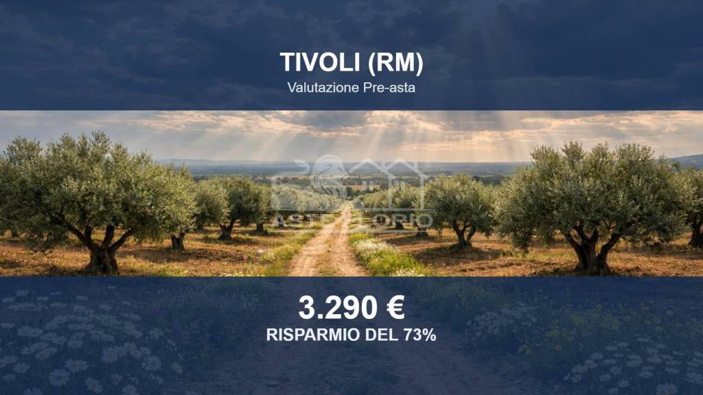 terreno agricolo in vendita a Tivoli