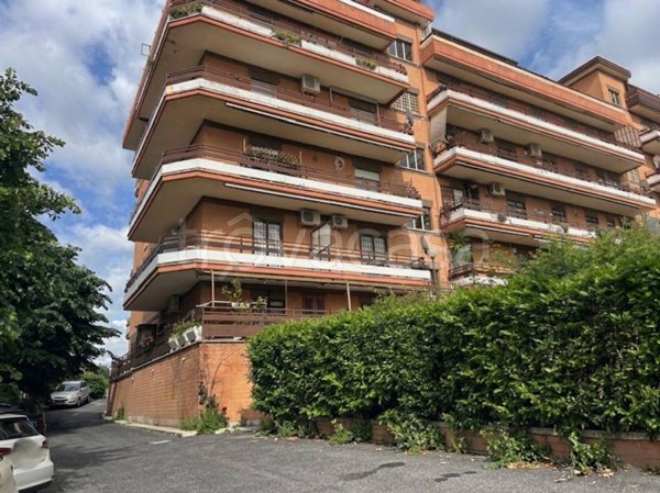 box auto in vendita a Tivoli