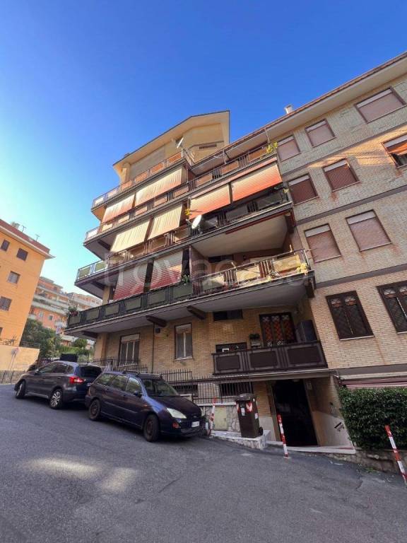 immagine annuncio 0 di 15