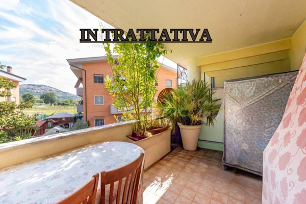 immagine annuncio 0 di 15