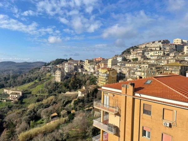 appartamento in vendita a Tolfa