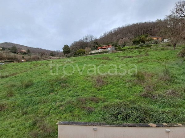 terreno agricolo in vendita a Tolfa