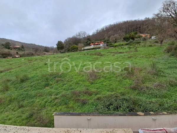 terreno agricolo in vendita a Tolfa