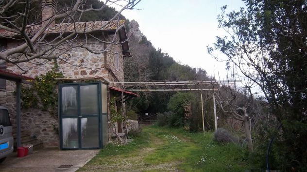 terreno agricolo in vendita a Tolfa