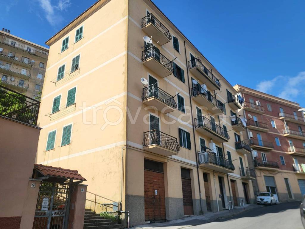 appartamento in vendita a Tolfa