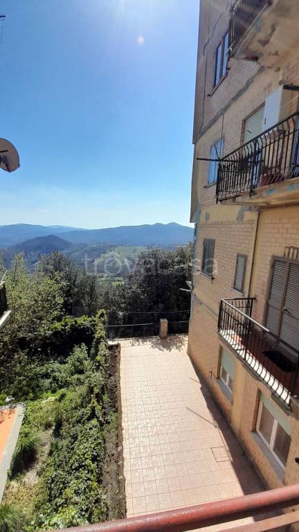 appartamento in vendita a Tolfa