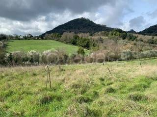 terreno agricolo in vendita a Tolfa