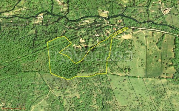 terreno agricolo in vendita a Tolfa