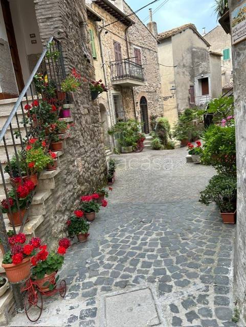 appartamento in vendita a Tolfa