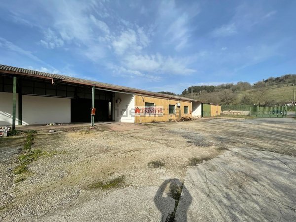 capannone in vendita a Tolfa