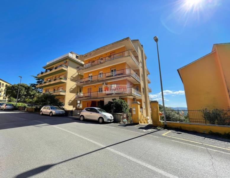 appartamento in vendita a Tolfa