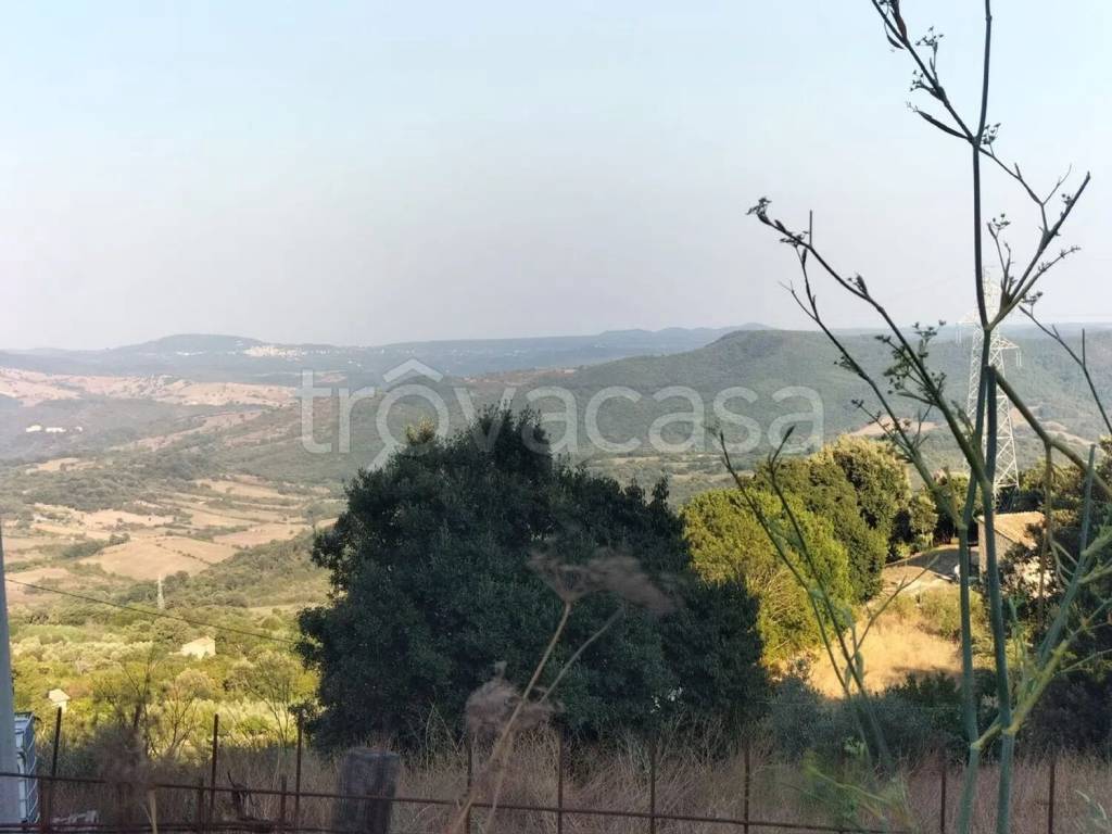 appartamento in vendita a Tolfa