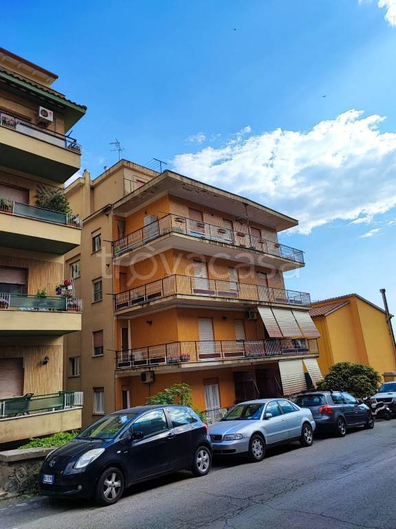 appartamento in vendita a Tolfa