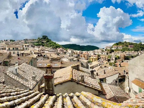 appartamento in vendita a Tolfa