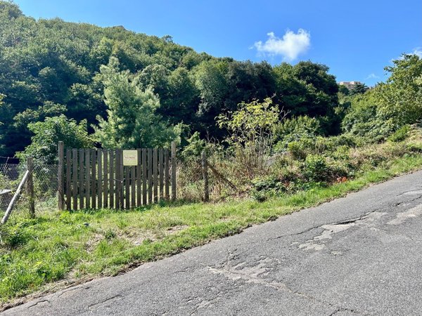 terreno agricolo in vendita a Tolfa