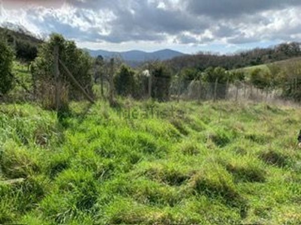 terreno agricolo in vendita a Tolfa in zona Rota