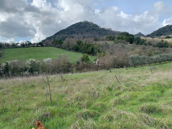 terreno in vendita a Tolfa in zona Rota