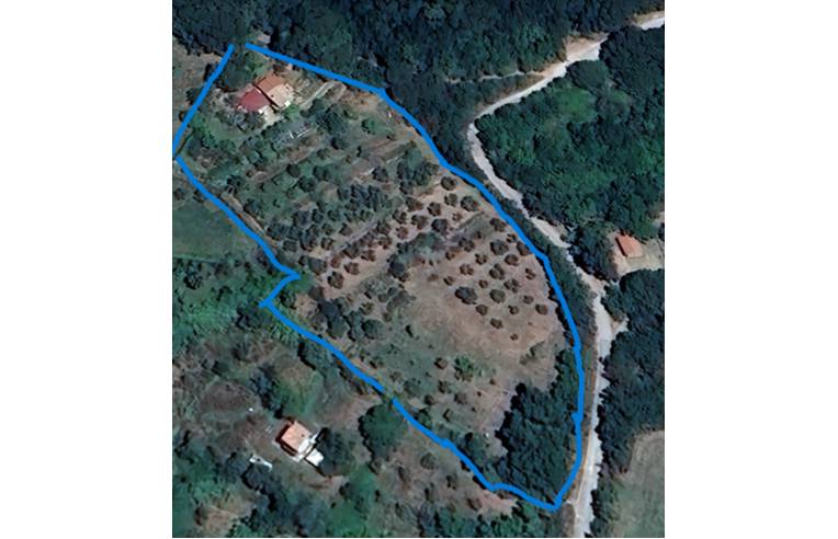 terreno agricolo in vendita a Tolfa