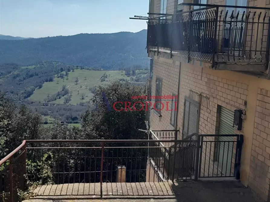 appartamento in vendita a Tolfa