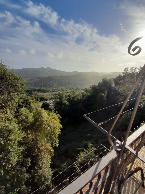 appartamento in vendita a Tolfa