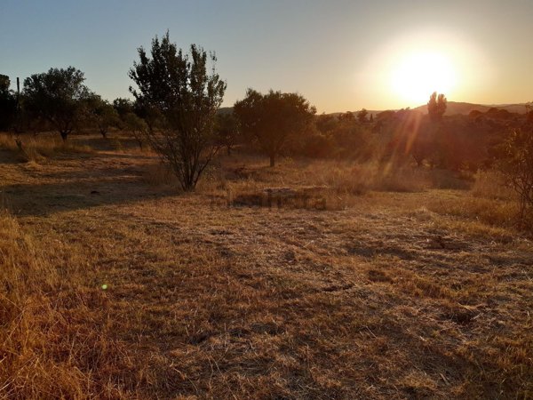 casa indipendente in vendita a Tolfa