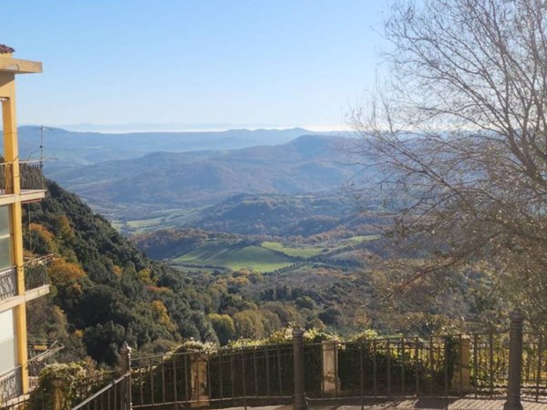 appartamento in vendita a Tolfa