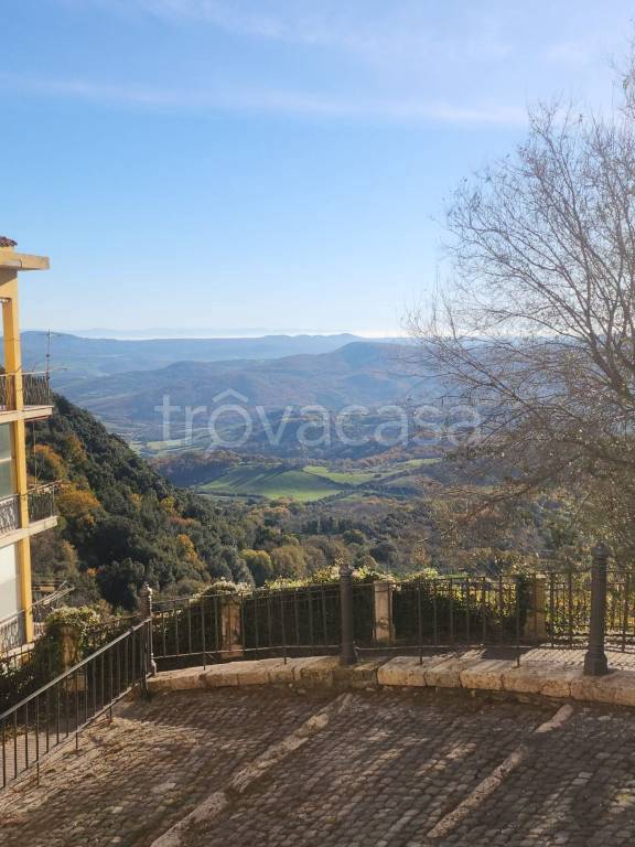 appartamento in vendita a Tolfa